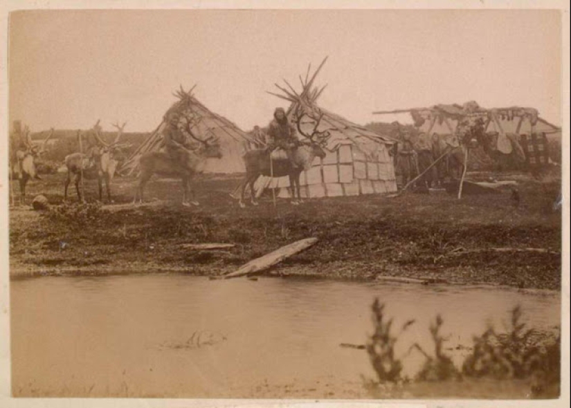 Rare photos of everyday life on Sakhalin of the late XIX - early XX century