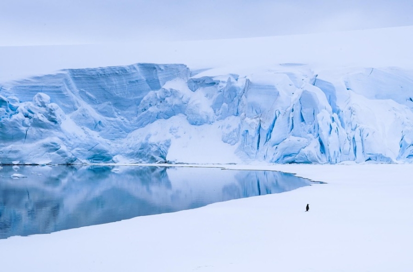 Regla de los tercios: 21 fotos con excelente composición