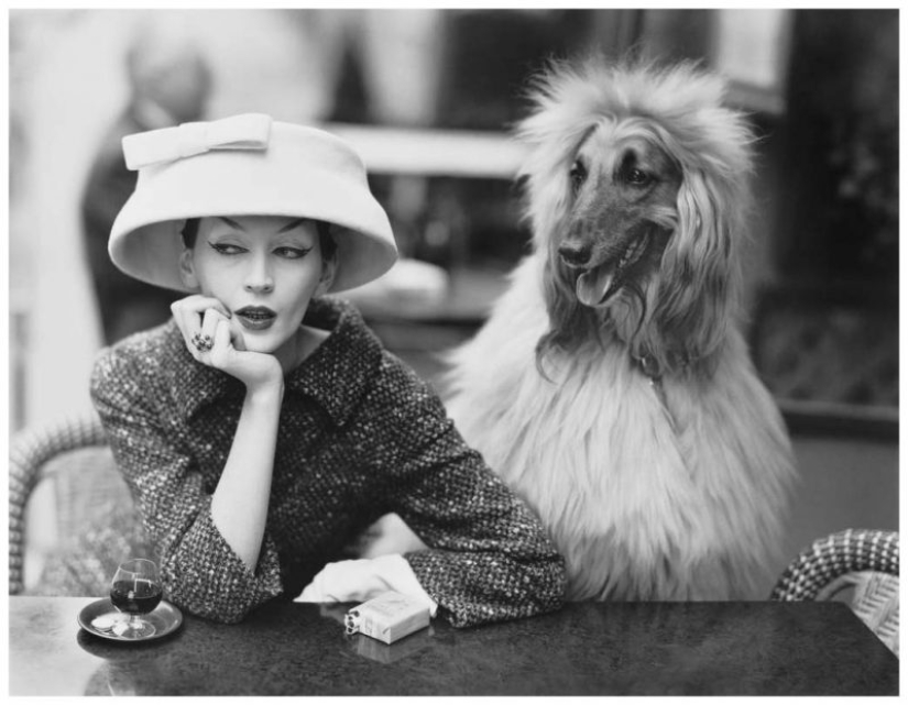 Richard Avedon is a virtuoso of a photo portrait, trusted by the stars