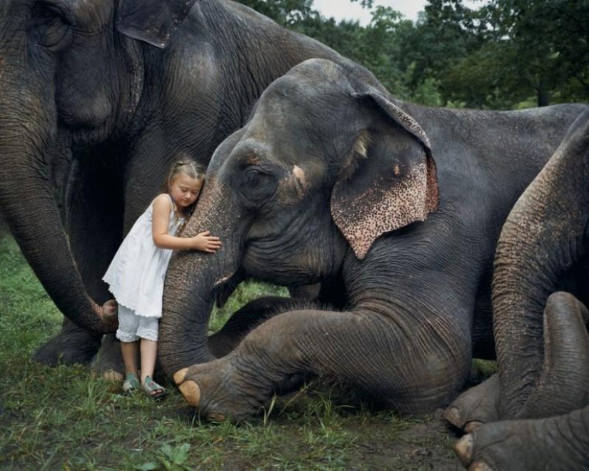 Robin Schwartz&#39;s Photo Project &quot;Amelia&#39;s World&quot;: Art Through the Prism of Childhood and Nature