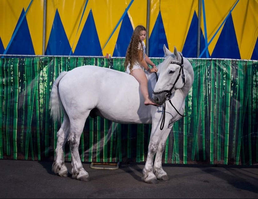 Robin Schwartz&#39;s Photo Project &quot;Amelia&#39;s World&quot;: Art Through the Prism of Childhood and Nature