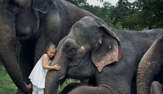 Robin Schwartz&#39;s Photo Project &quot;Amelia&#39;s World&quot;: Art Through the Prism of Childhood and Nature