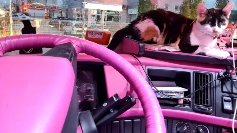 &quot;Romanian Barbie&quot;: Europe&#39;s most unusual truck driver drives a pink truck