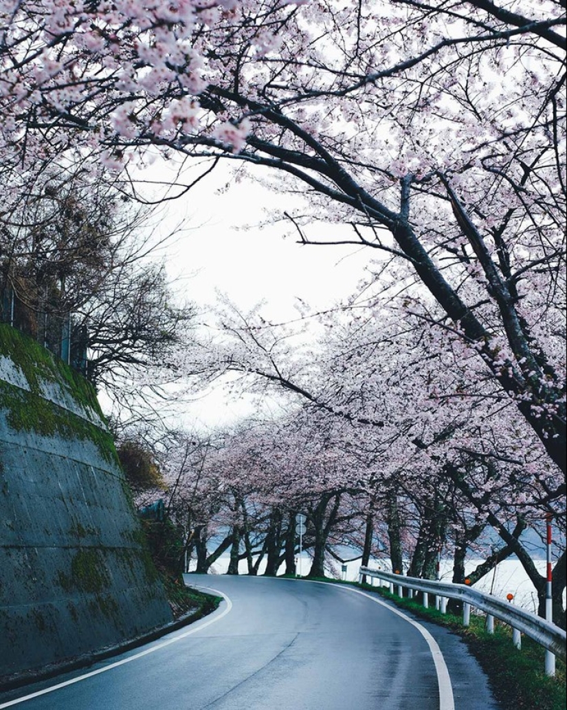 Sabor japonés en las fotos callejeras de Takashi Yasui