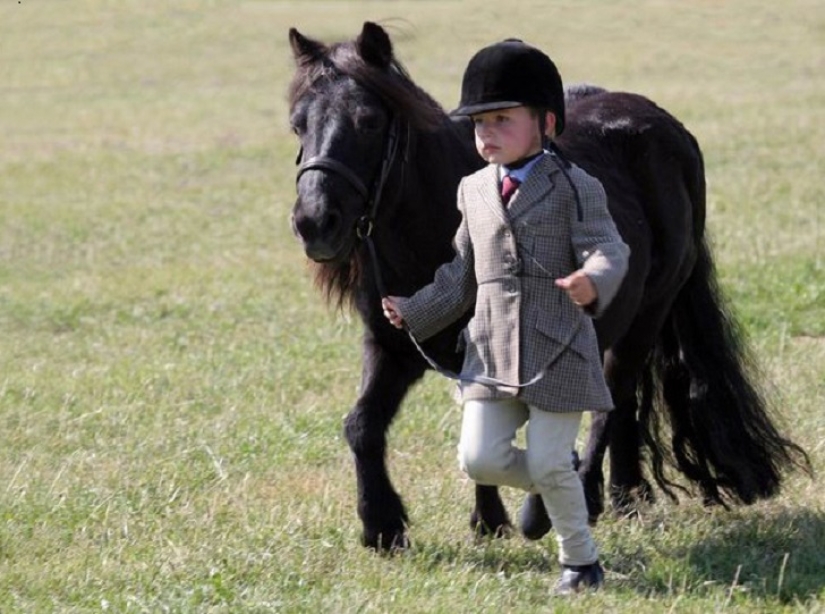 Saca a los niños de las pantallas: 30 mini caballos mímicos