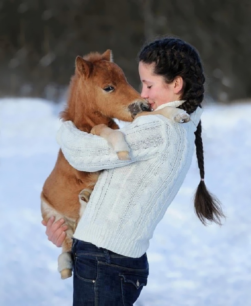 Saca a los niños de las pantallas: 30 mini caballos mímicos