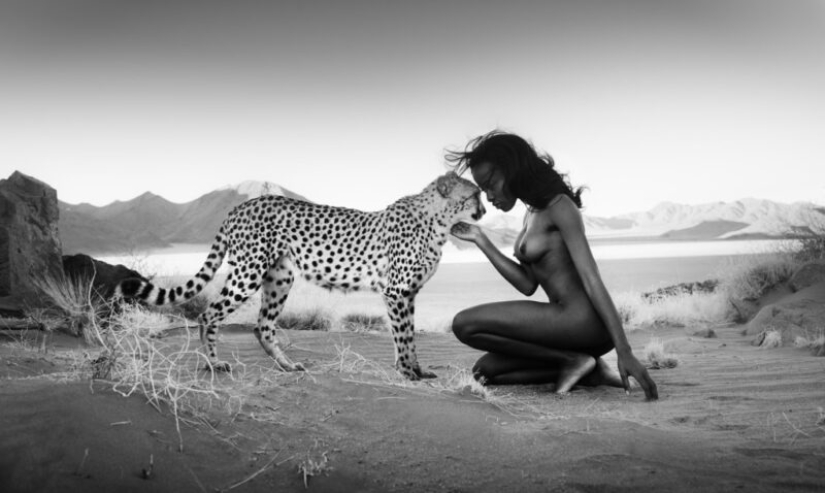 Salvaje Oeste Sur caliente foto por David yarrow