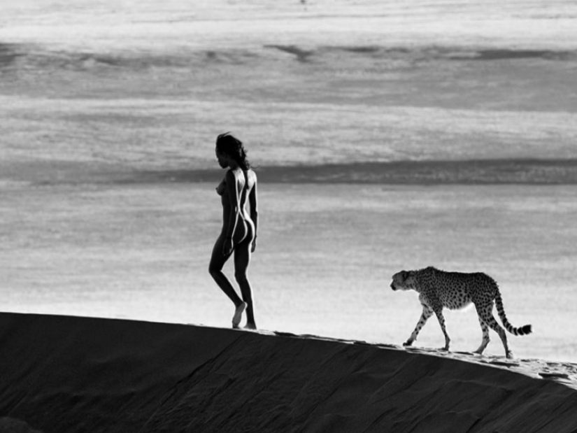 Salvaje Oeste Sur caliente foto por David yarrow