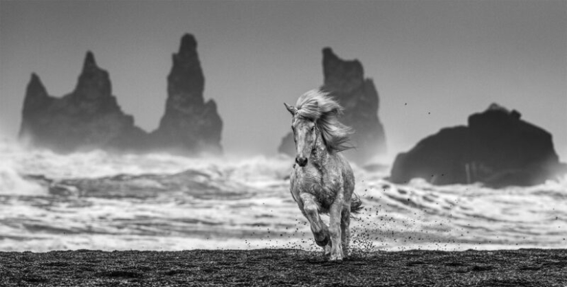 Salvaje Oeste Sur caliente foto por David yarrow