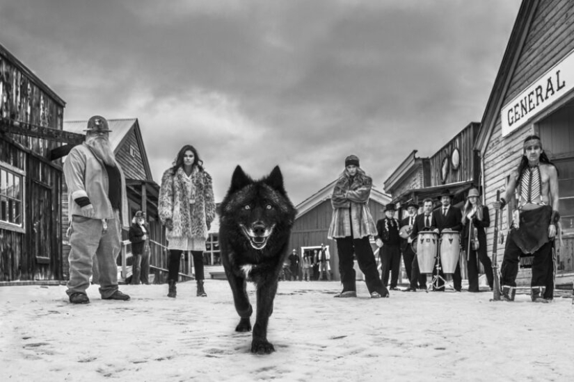 Salvaje Oeste Sur caliente foto por David yarrow