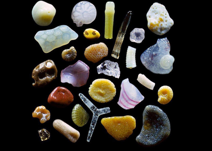 Sand under a microscope