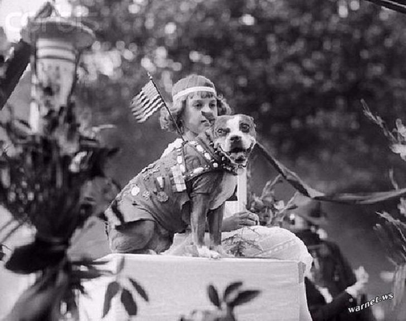 Sargento Stubby-perro heroico de la Primera Guerra Mundial