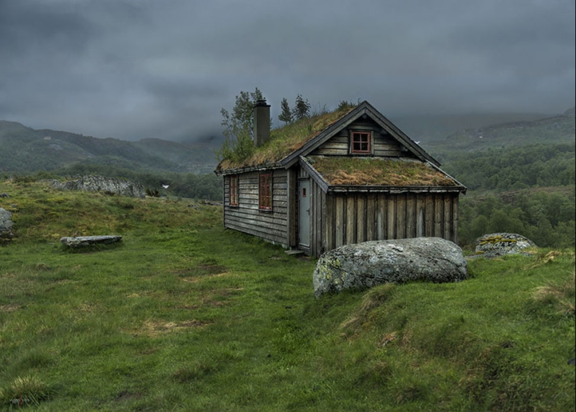 Scandinavian houses with an overgrown roof, in which you want to settle immediately