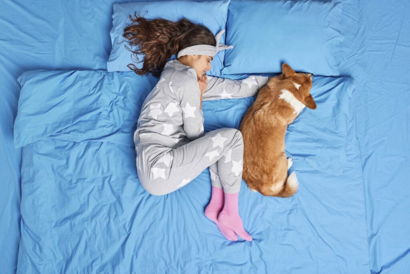 ¿Se puede dormir en la misma cama con un perro o un gato?