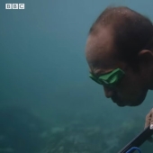 “Sea Men”: Bajau Tribe’s Superhuman Breath-Holding Ability Goes Viral