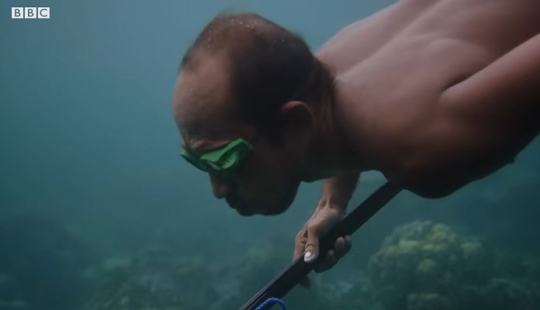 “Sea Men”: Bajau Tribe’s Superhuman Breath-Holding Ability Goes Viral