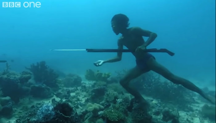“Sea Men”: la capacidad sobrehumana de la tribu Bajau para contener la respiración se vuelve viral