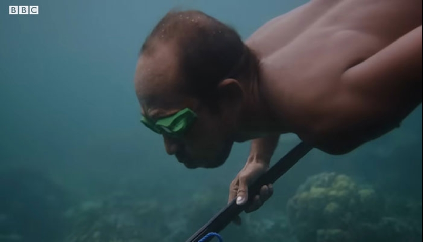 “Sea Men”: la capacidad sobrehumana de la tribu Bajau para contener la respiración se vuelve viral