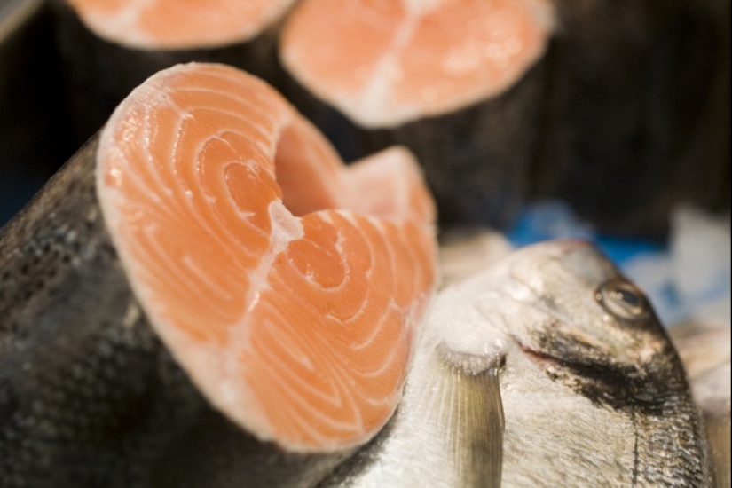 Secado, curado, ahumado: como los amantes del pescado a la cerveza para protegerse de los parásitos y el cáncer