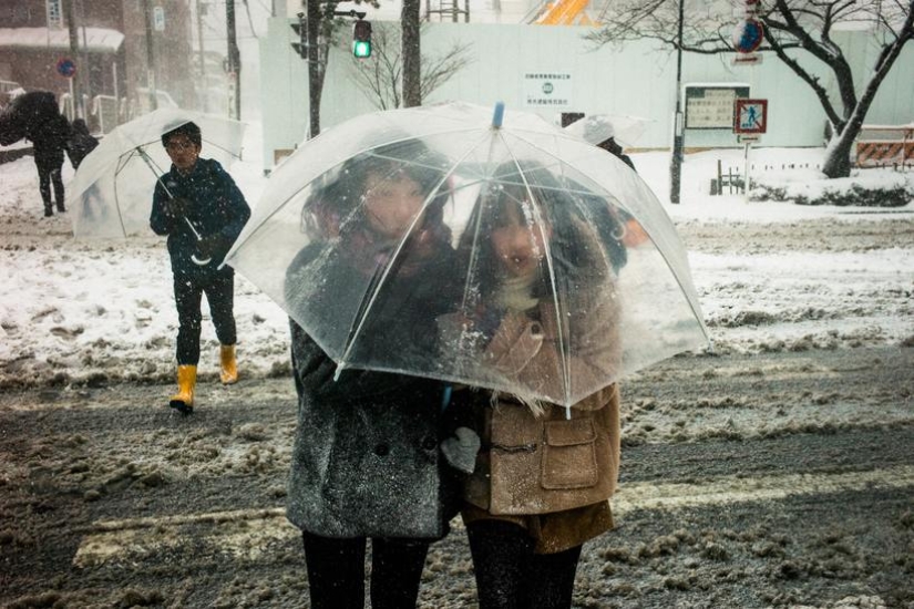 Seeing the amazing in the ordinary: what is the secret of Shin Noguchi's wonderful street photos