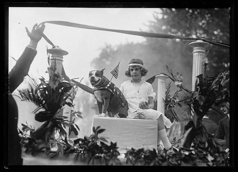 Sergeant Stubby — heroic dog of the First World War