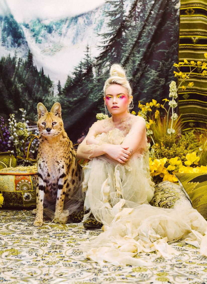 Sesión de fotos increíblemente hermosa con animales rescatados en el mercado negro