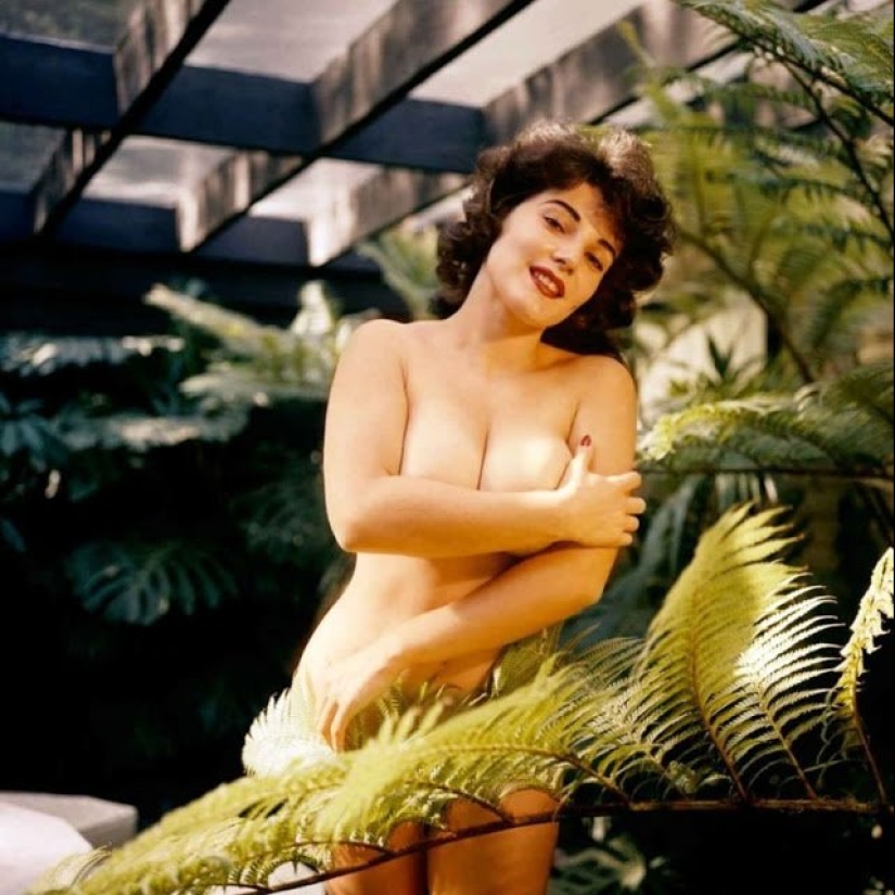 Sexy chica con márgenes de Playboy 1950-s: Tetona Jean Jani