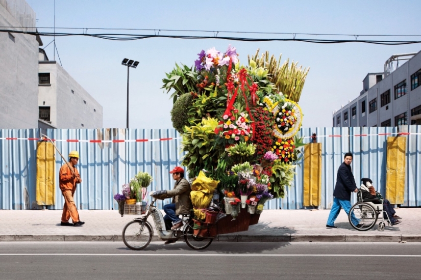 Shanghai carriers