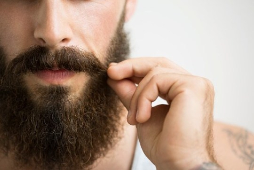 Shave immediately! According to scientific research, there are more microbes in a man's beard than in the hair of dogs