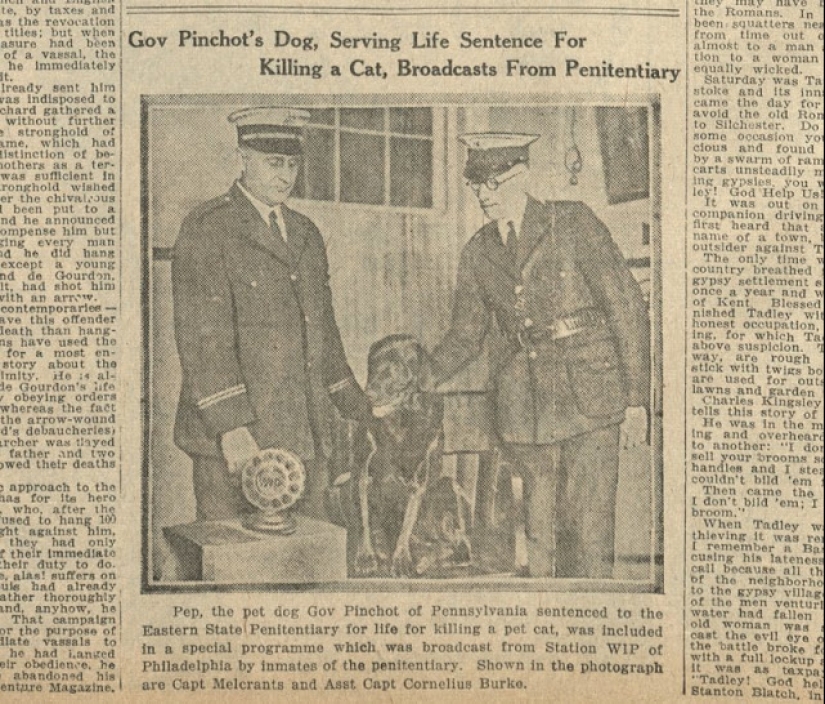 ¡Siéntate! La historia del perro Pep, que recibió una sentencia de cadena perpetua debido a una acusación falsa