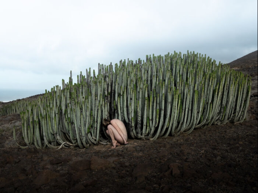 SIPA anuncia 15 nominados a los premios de fotografía creativa 2024