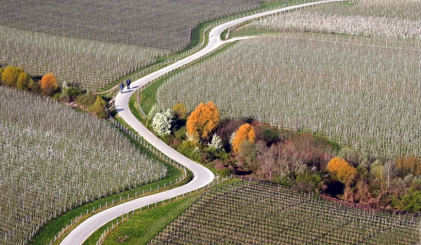 Slovenia from the height of bird flight