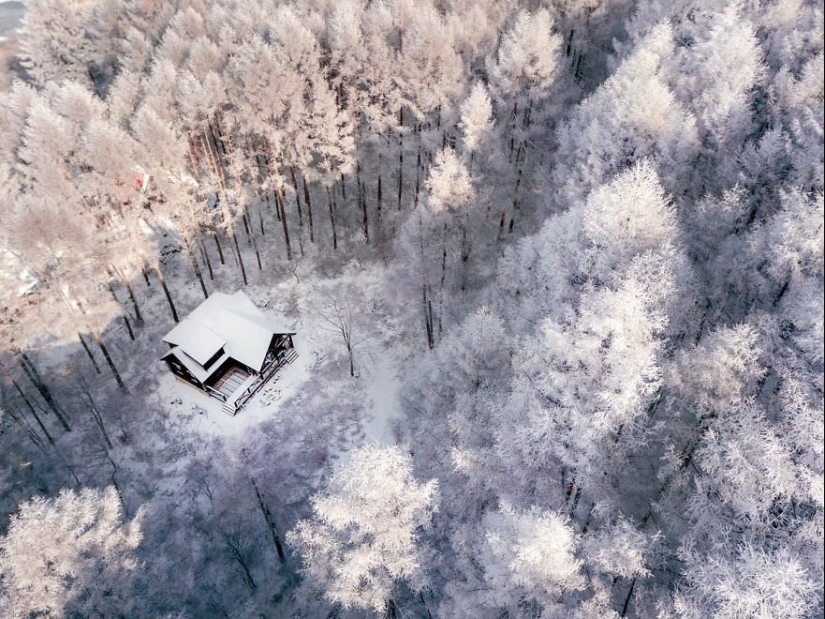 Snow Fairy tale: incredibly beautiful winter in Japan