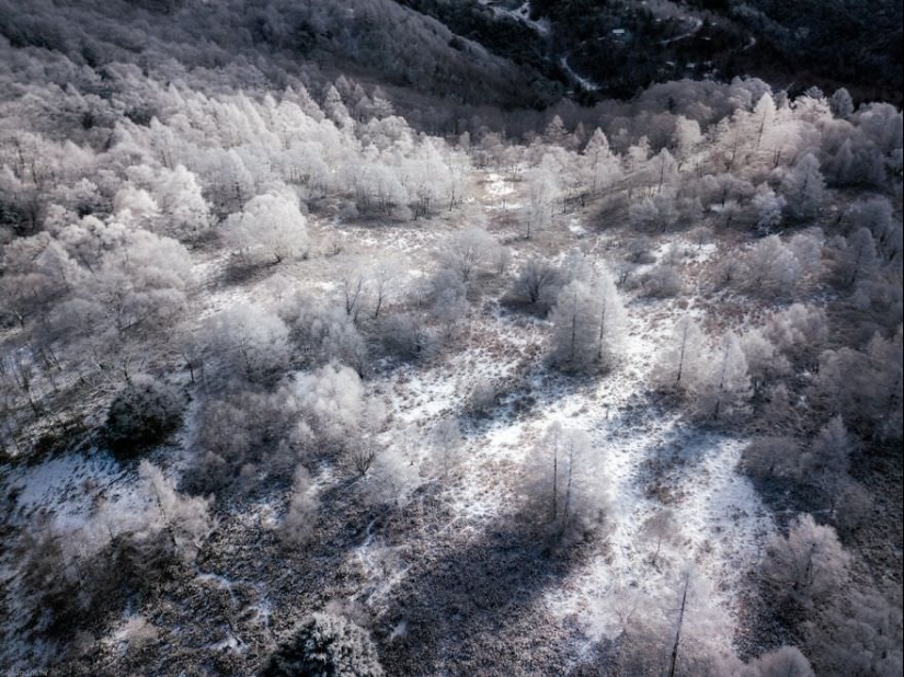 Snow Fairy tale: incredibly beautiful winter in Japan