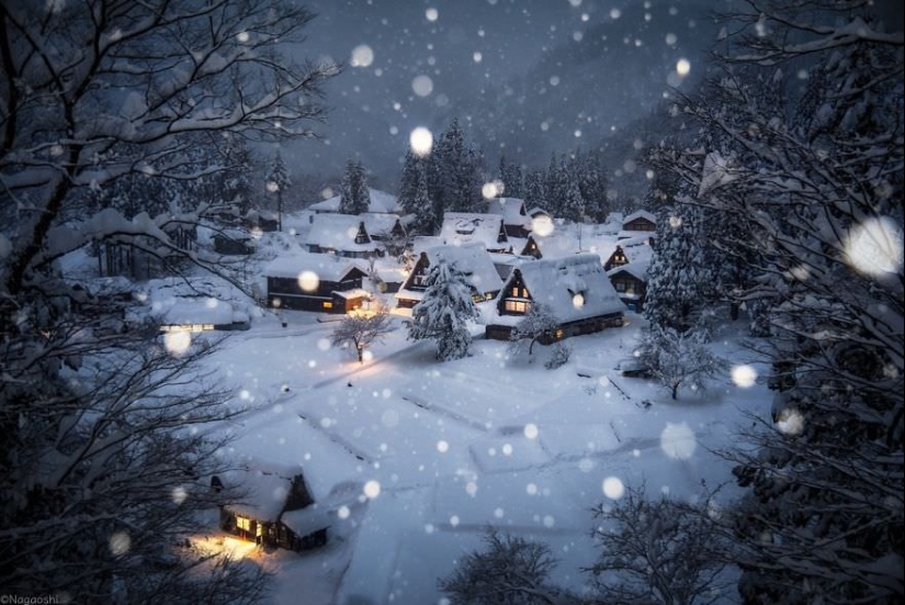 Snow Fairy tale: incredibly beautiful winter in Japan