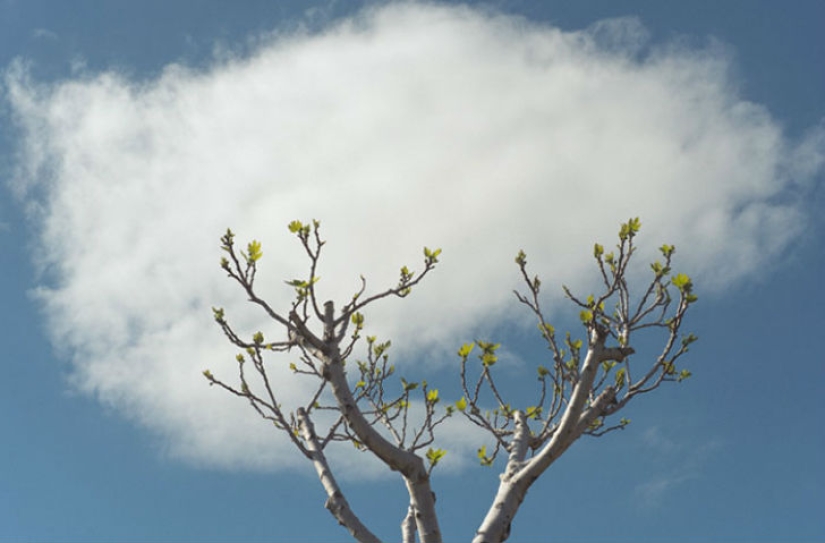 Sobrenatural coincidencias en la naturaleza por Denis Carima