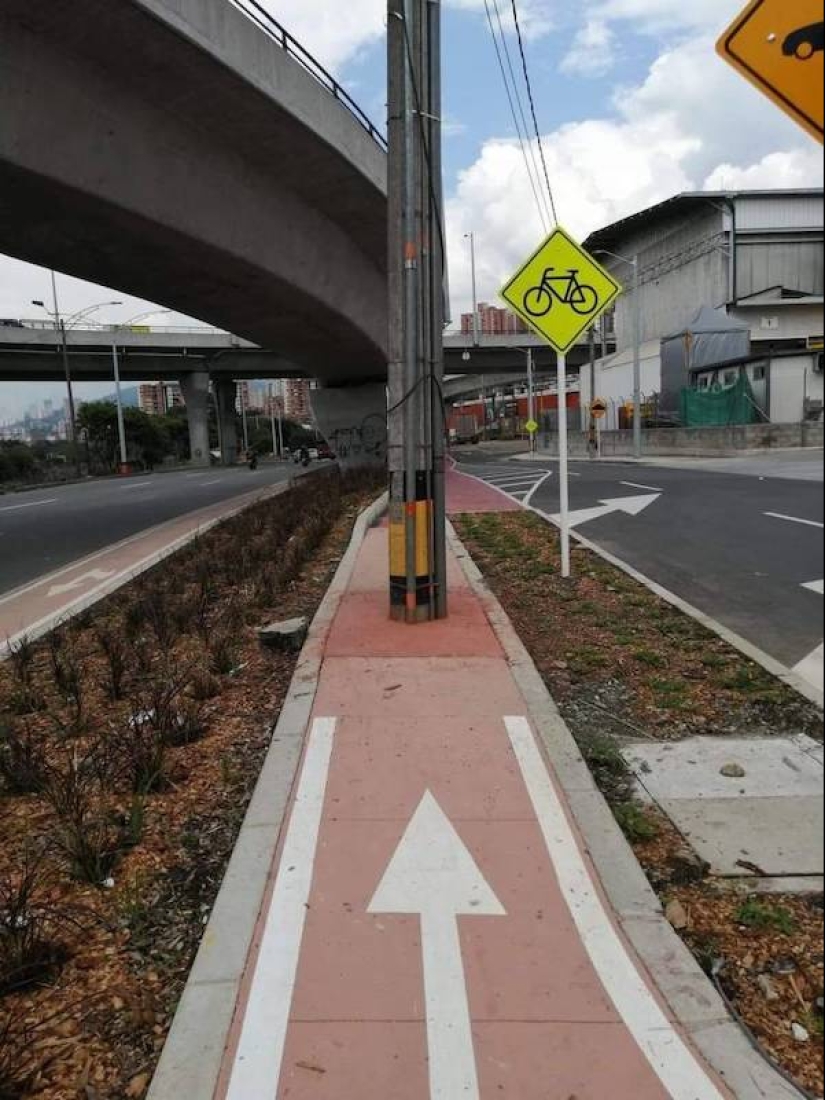 Solo tenían una tarea, pero no la hicieron frente