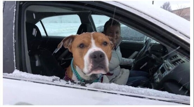 Somos toda su vida: más de 20 fotos con perros que calientan el alma