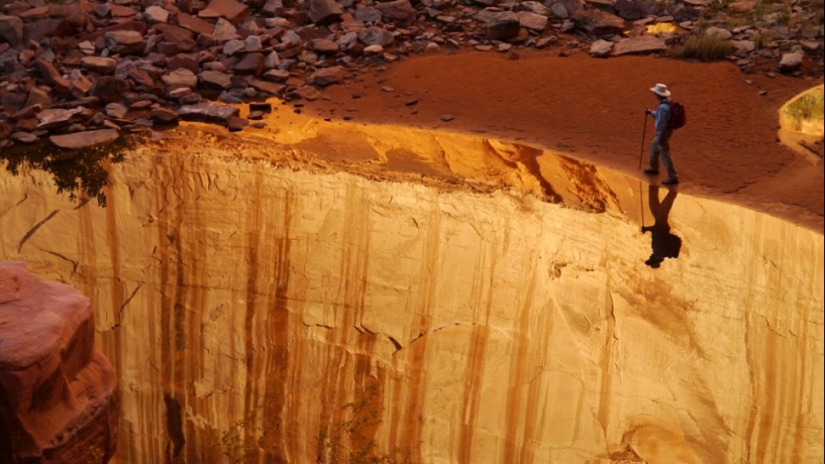 Sorpresas de la naturaleza: estas fotografías poco realistas te harán querer mirar dos veces