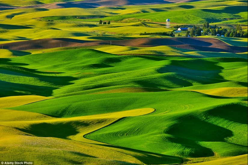 Sorpresas de la naturaleza: estas fotografías poco realistas te harán querer mirar dos veces