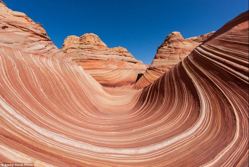 Sorpresas de la naturaleza: estas fotografías poco realistas te harán querer mirar dos veces