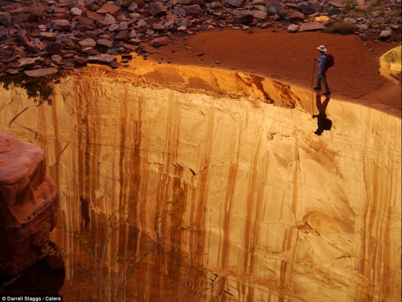 Sorpresas de la naturaleza: estas fotografías poco realistas te harán querer mirar dos veces