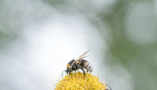 Soy un fotógrafo macro que se centra en las pequeñas cosas que suelen pasar desapercibidas.