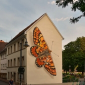 Specimen Boxes: 13 Giant Butterfly Murals Painted By This French Artist Across The World