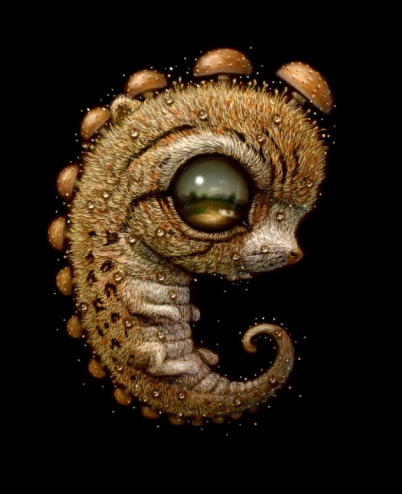 Streams of Consciousness in Naoto Hattori's paintings, similar to hallucinations