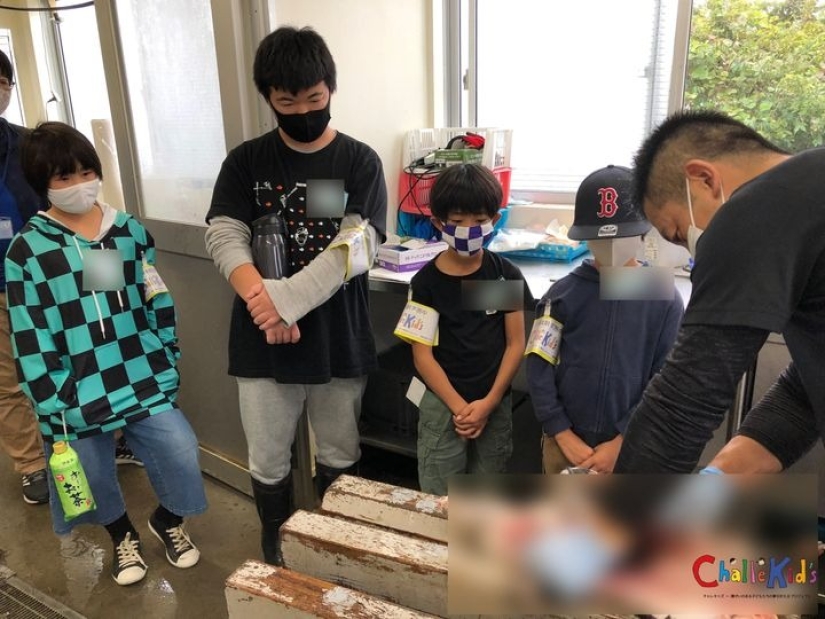 Students of Japanese schools grow fish, and then decide whether to eat it or release it into the ocean