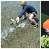 Students of Japanese schools grow fish, and then decide whether to eat it or release it into the ocean