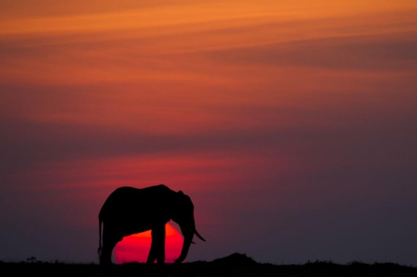 Stunning African sunsets by Paul Goldstein