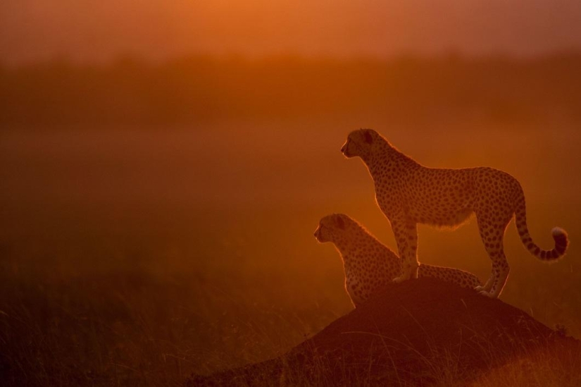 Stunning African sunsets by Paul Goldstein