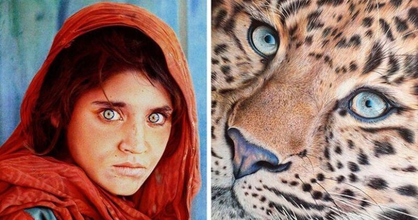 Stunning drawings in ballpoint pen from Samuel Silva